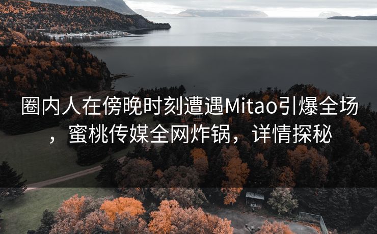 圈内人在傍晚时刻遭遇Mitao引爆全场，蜜桃传媒全网炸锅，详情探秘
