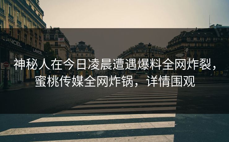 神秘人在今日凌晨遭遇爆料全网炸裂，蜜桃传媒全网炸锅，详情围观