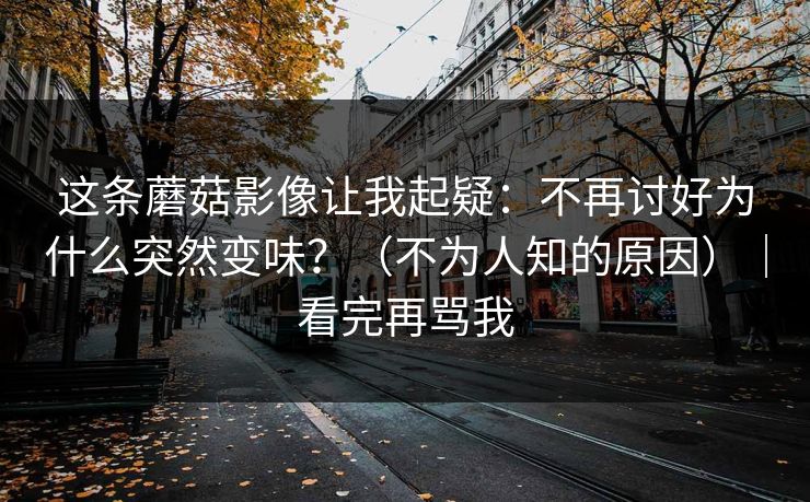 这条蘑菇影像让我起疑：不再讨好为什么突然变味？（不为人知的原因）｜看完再骂我